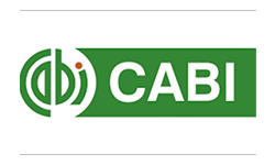 Cabi